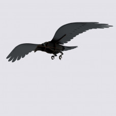 декор ворон Adam 