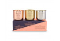 Eclectic Candle Gift Set