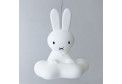 Подвесной светильник Miffy's Dream Pendant Lamp