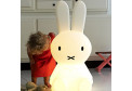Напольная лампа Miffy XL Lamp
