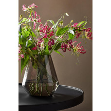 ВАЗА FYR NORTHERN