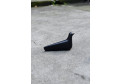 Статуэтка L'Oiseau ceramic bird, charcoal matt Vitra