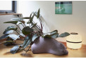 Фигура Resting Bear mauve Vitra
